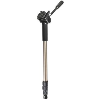 3D Tilt Head