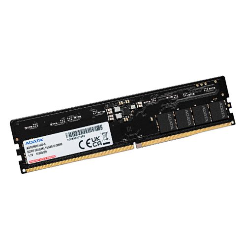 D532G56AD46